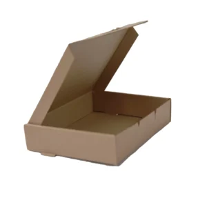 CAJA SESAMIN (2)