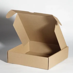 CAJA PAY 5