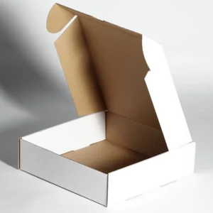 CAJA PAY 6