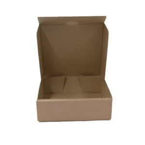 CAJA PLATA (2)