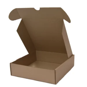 CAJA PAY 1
